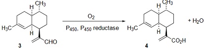 1722_Chemical synthesis1.jpg